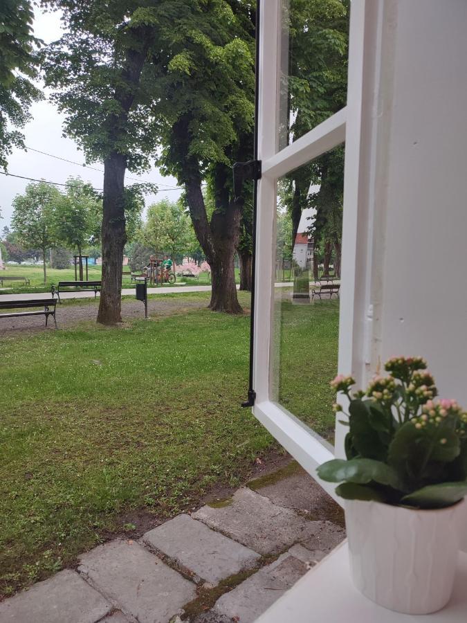 Apartman Dux 2 Карловаць Екстер'єр фото